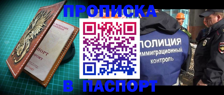 прописка в Новодвинске
